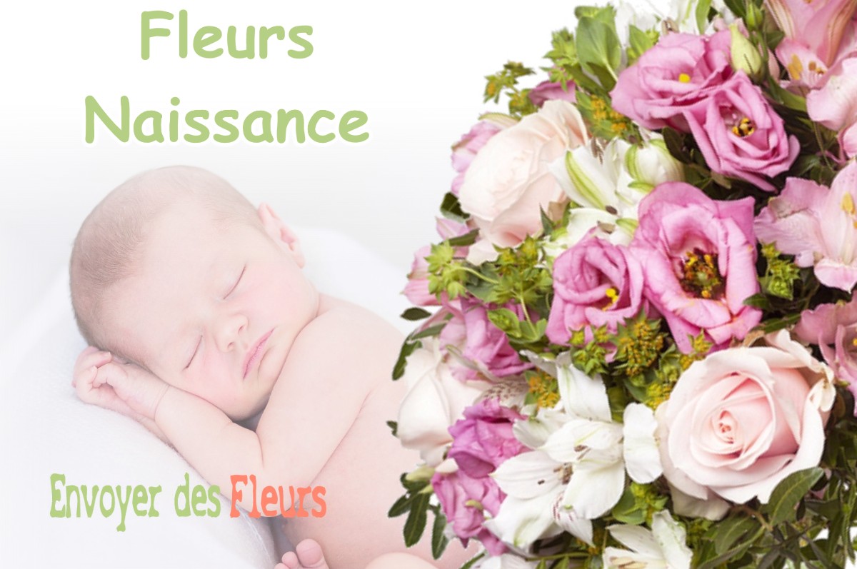 lIVRAISON FLEURS NAISSANCE à MARCOLLIN